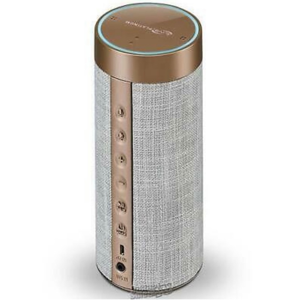 iLive Platinum Portable Wireless Smart Speaker